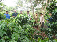 El grupo en “la selva”.