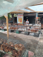 Boris at his poultry farm