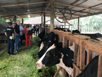 Our WYCUP team members at Paulino's farm.