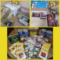 Seed kits delivered to Anisia CU member farmers