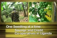 Uganda